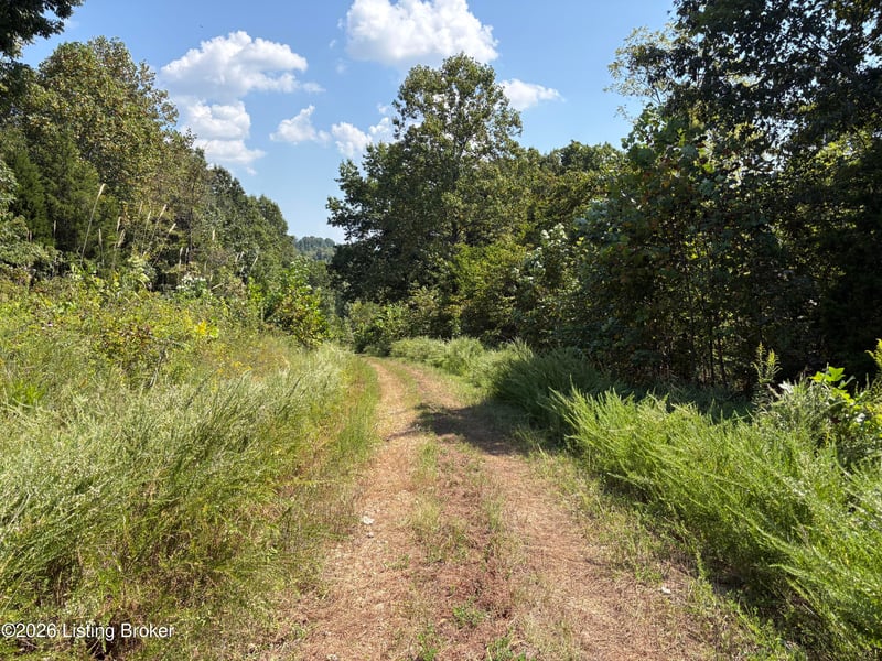 2679 Carl Newby Rd, Falls Of Rough, KY 40119