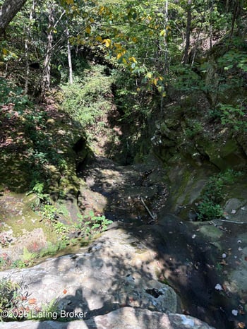 2679 Carl Newby Rd, Falls Of Rough, KY 40119