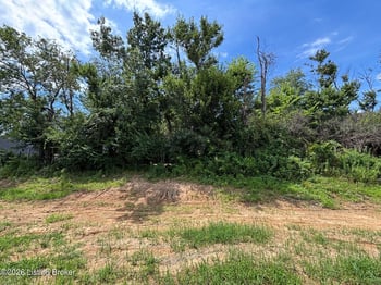 275 Ardmore Crossing Dr, Shelbyville, KY 40065