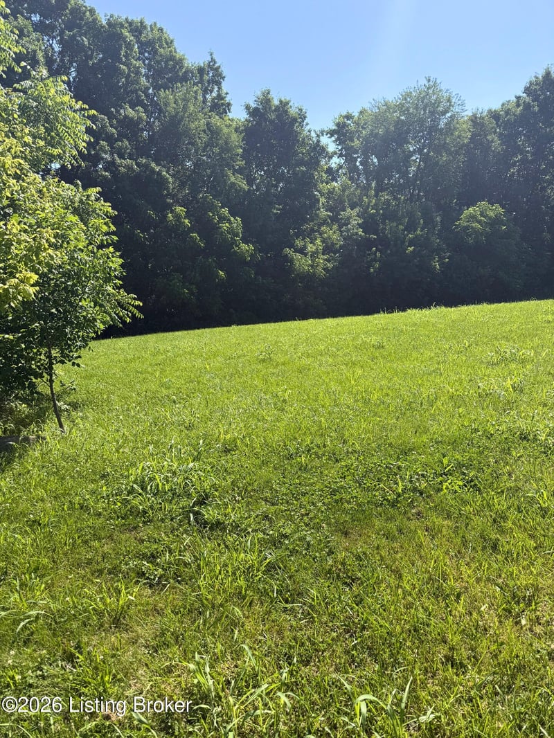 28 Chelsey Park Dr, Fisherville, KY 40023