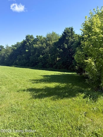 28 Chelsey Park Dr, Fisherville, KY 40023