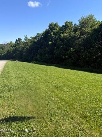 28 Chelsey Park Dr, Fisherville, KY 40023