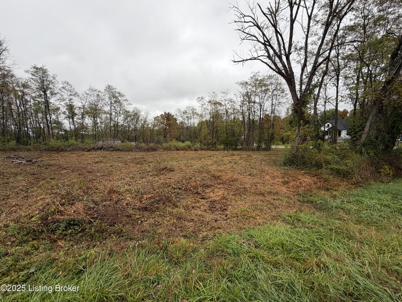 28 Freesia Ct, Brandenburg, KY 40108