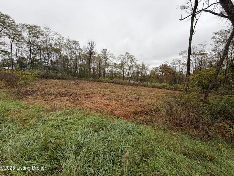 28 Freesia Ct, Brandenburg, KY 40108