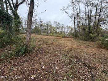 28 Freesia Ct, Brandenburg, KY 40108