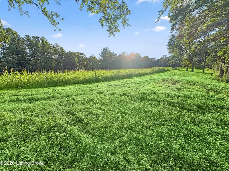 284 Possum Hollow Rd, Munfordville, KY 42765