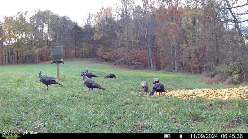 284 Possum Hollow Rd, Munfordville, KY 42765
