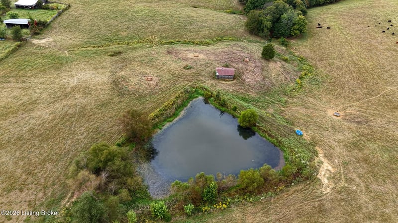 2924 Caney Creek Rd, Caneyville, KY 42721