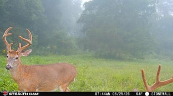 295 Bray Ridge Rd, Bedford, KY 40006