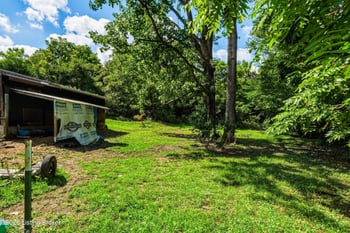 2983 Falls Of Rough Rd, Caneyville, KY 42721