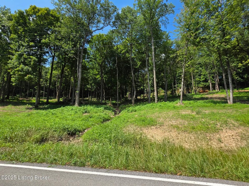 3 Cave Creek Rd, Falls Of Rough, KY 40119