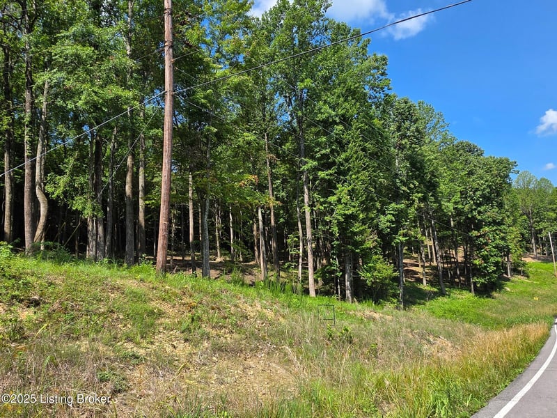 3 Cave Creek Rd, Falls Of Rough, KY 40119
