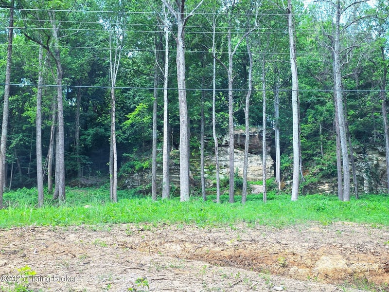 3 Cave Creek Rd, Falls Of Rough, KY 40119