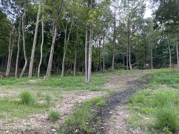 3 Cave Creek Rd, Falls Of Rough, KY 40119