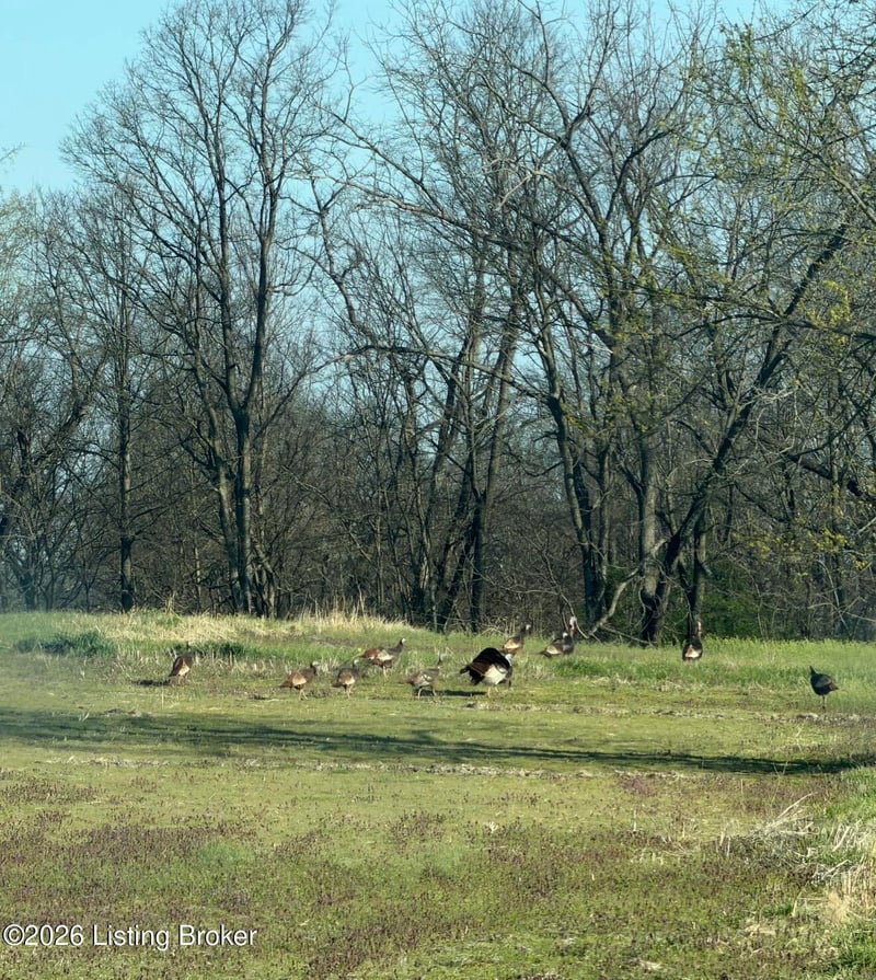 3 Cemetery Hill Rd, Bethlehem, KY 40007