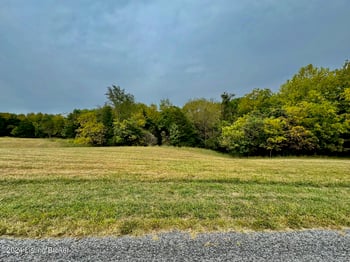 3 Hillsboro Ln, Springfield, KY 40069