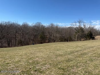3 Landings Ct, Willisburg, KY 40078