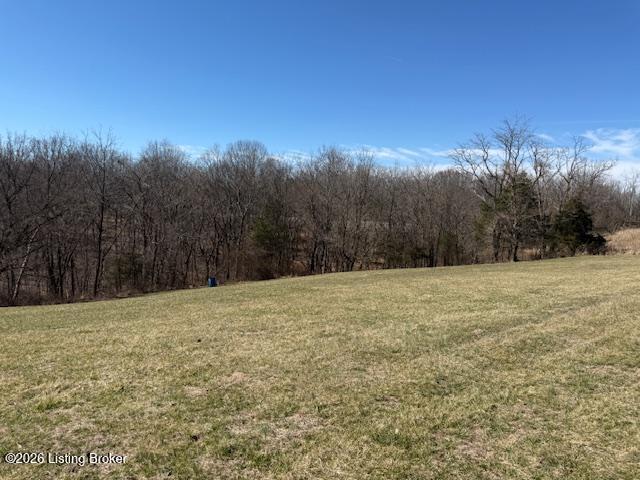 3 Landings Ct, Willisburg, KY 40078