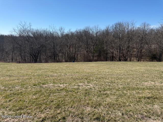 3 Landings Ct, Willisburg, KY 40078