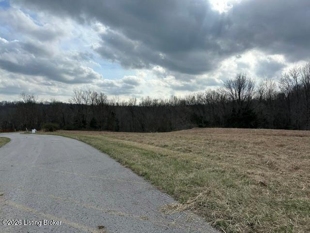 3 Landings Ct, Willisburg, KY 40078