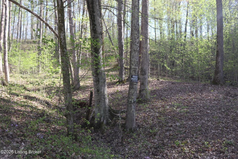3 Oakmont Bay Dr, Bee Spring, KY 42207