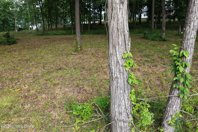 30 Stargazer Ln Rd, Falls Of Rough, KY 40119