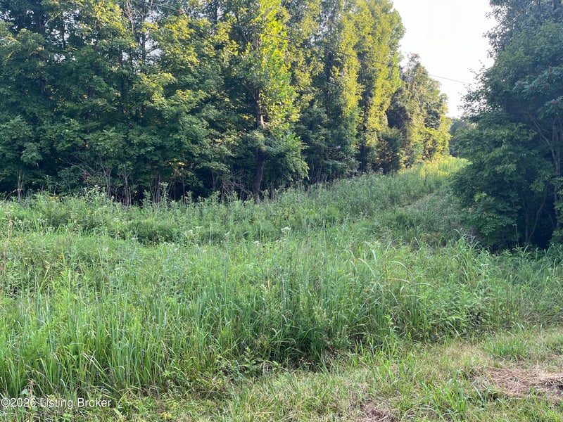 30 Vic Young Rd, Olaton, KY 42361