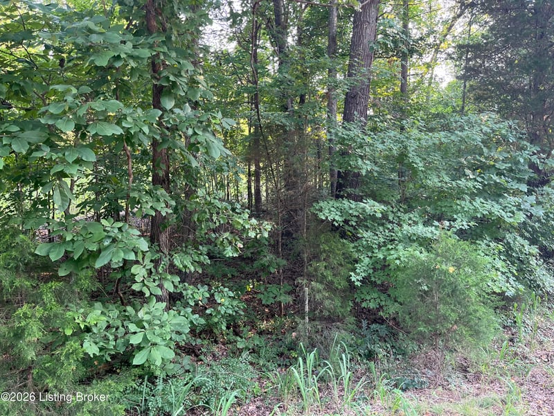 30 Vic Young Rd, Olaton, KY 42361