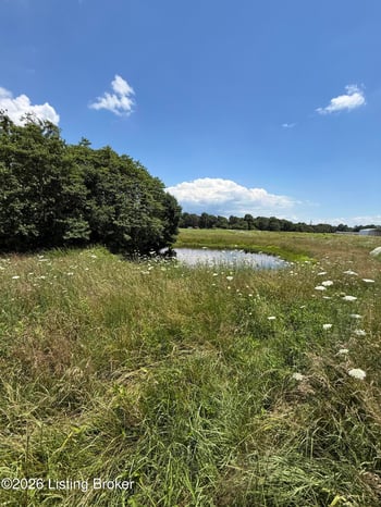 3003 Hardin Springs Rd, Hudson, KY 40145