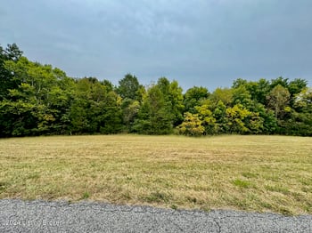 301 Hillsboro Ln, Springfield, KY 40069