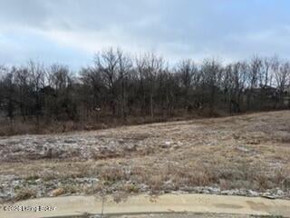301 Sparrow Ln, Fisherville, KY 40023