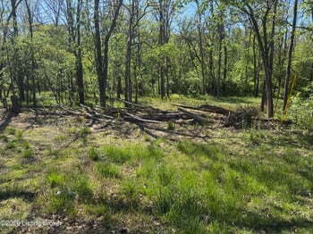 305 Long Run Rd, Louisville, KY 40245