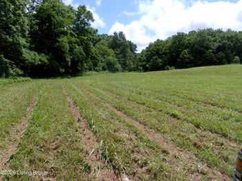 305 Newby Ln #Tract 6, Harrodsburg, KY 40330