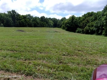 305 Newby Ln #Tract 6, Harrodsburg, KY 40330
