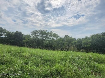 305 R Sharon Rd, Worthville, KY 41098