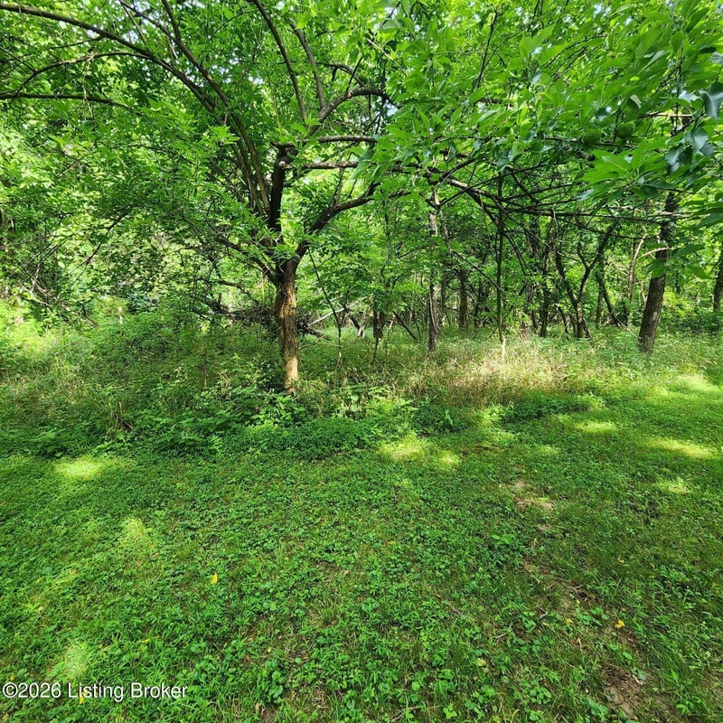 318 Elk Creek Rd, Taylorsville, KY 40071