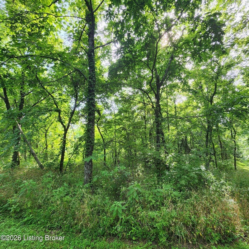 318 Elk Creek Rd, Taylorsville, KY 40071