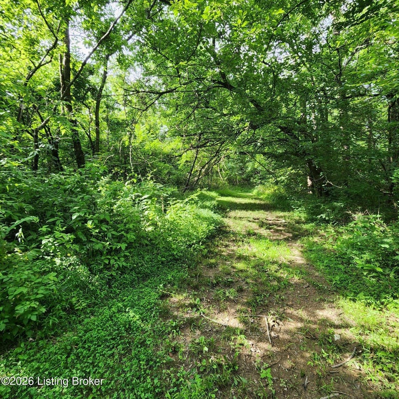 318 Elk Creek Rd, Taylorsville, KY 40071