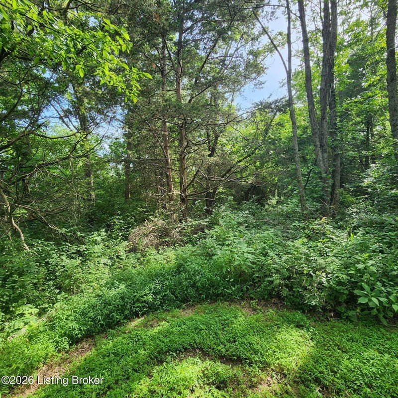 318 Elk Creek Rd, Taylorsville, KY 40071
