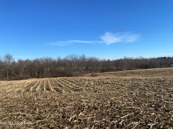 32 Beasley Ln, Sulphur, KY 40070