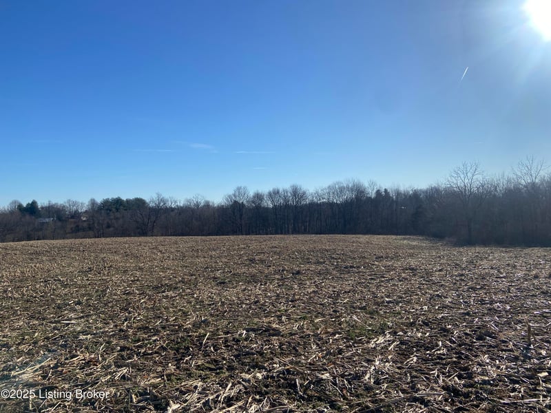 32 Beasley Ln, Sulphur, KY 40070