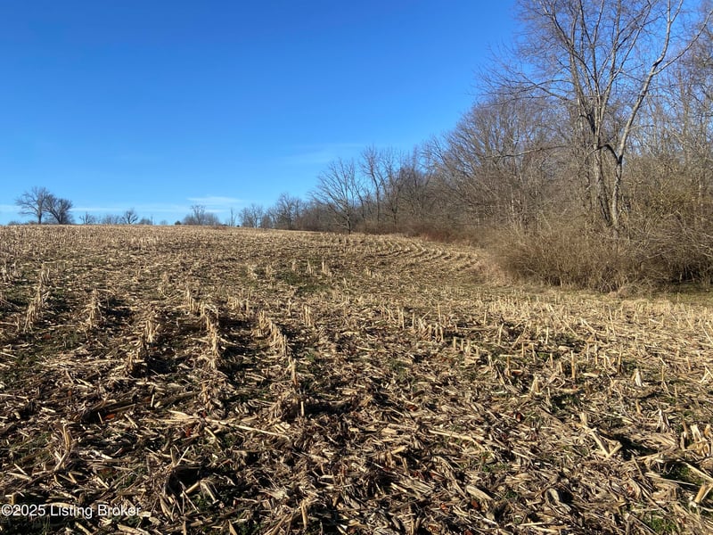 32 Beasley Ln, Sulphur, KY 40070