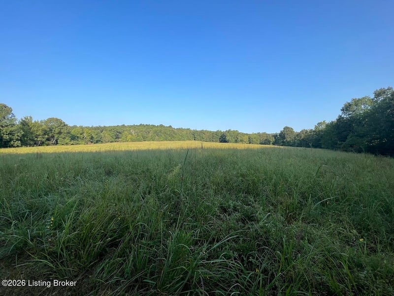 320 Woodland Ave, Clarkson, KY 42726
