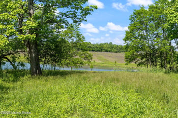 3314 Catalpa Farms Dr, Fisherville, KY 40023