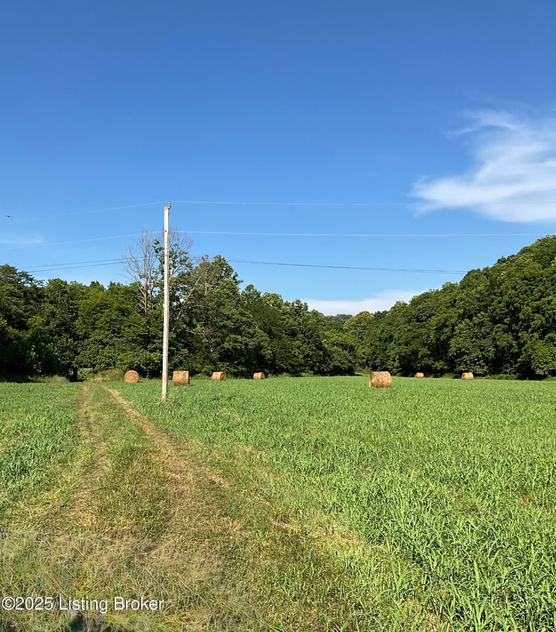 3397 Barebone Rd, Bedford, KY 40006