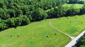 3397 Barebone Rd, Bedford, KY 40006