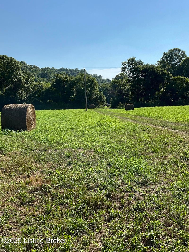 3397 Barebone Rd, Bedford, KY 40006