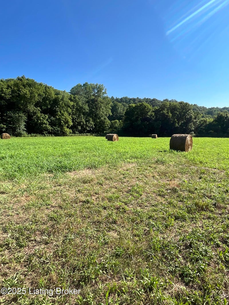 3397 Barebone Rd, Bedford, KY 40006