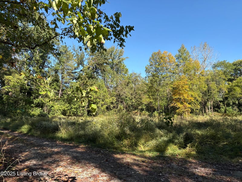 3407 Ripple Creek Dr, Louisville, KY 40229