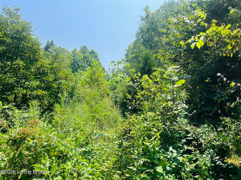 3433 Ky 79, Falls Of Rough, KY 40119